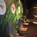 Imagen Búsqueda de dinosaurios en 20 años de Ciencia