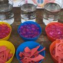 Imagen Laboratorio de anatomía: mi cuerpo es un tesoro