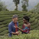 Imagen Cine. Té negro